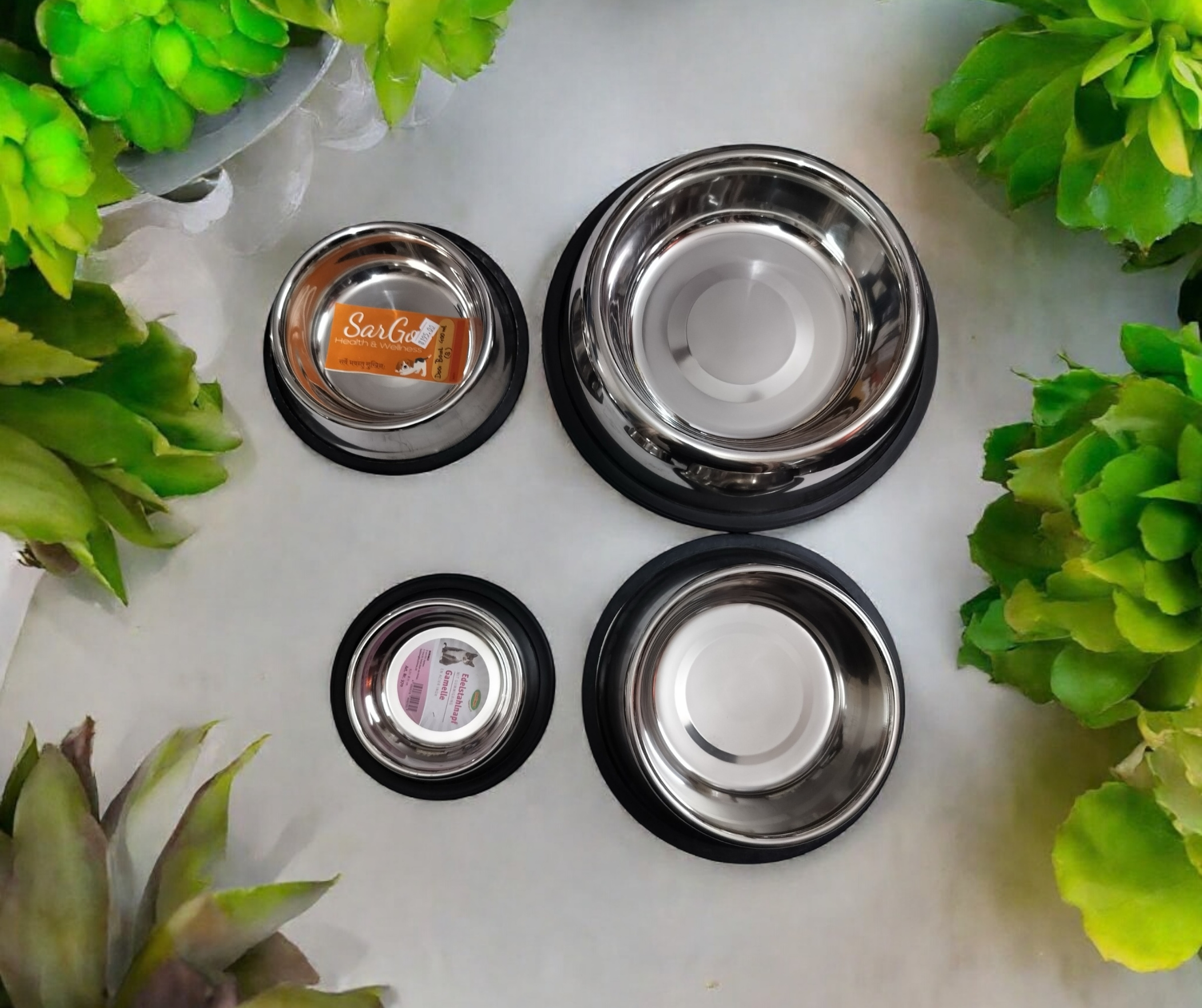 Stainless Steel Pet Bowls Set of 4