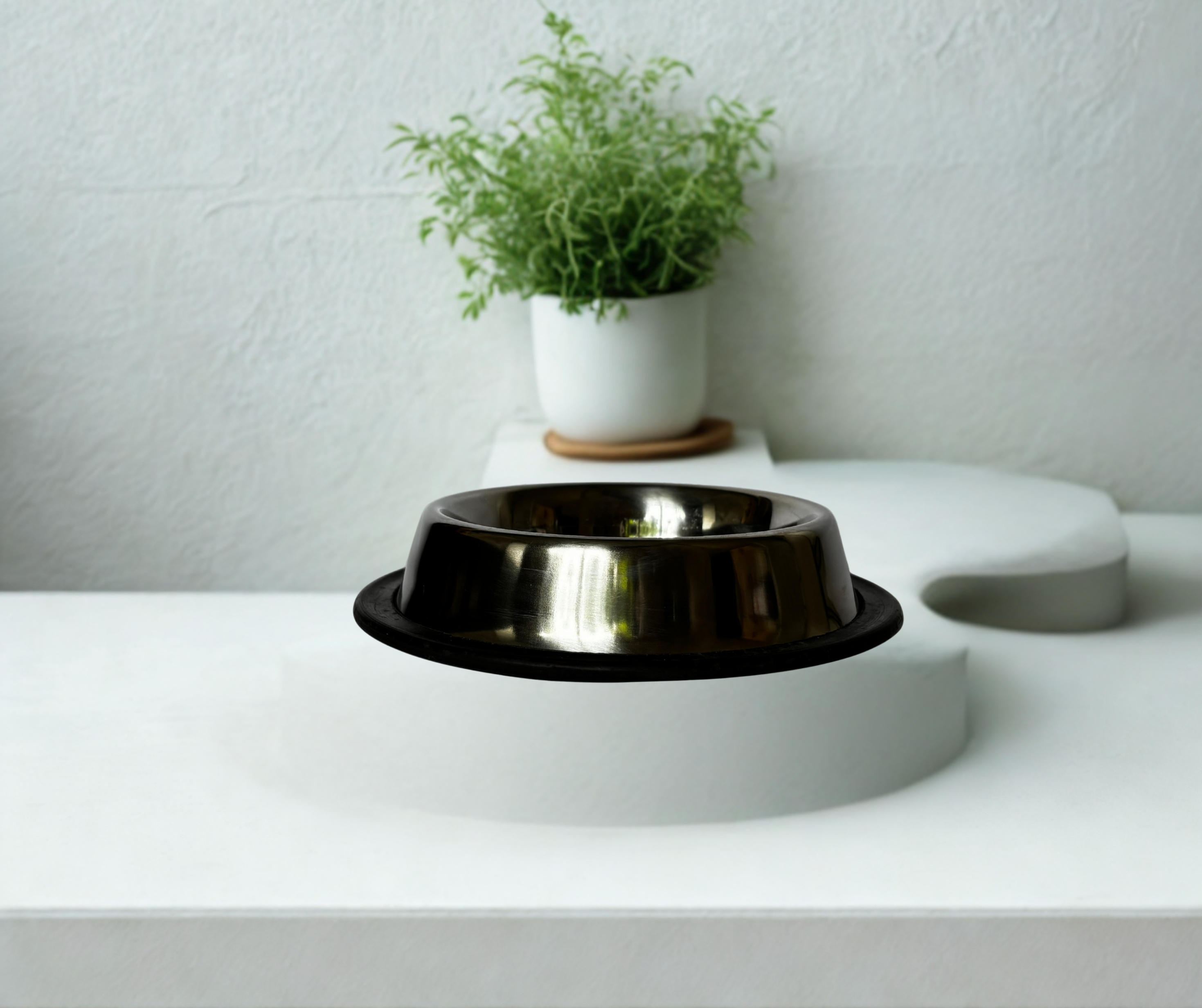 Stainless Steel Pet Small Bowl