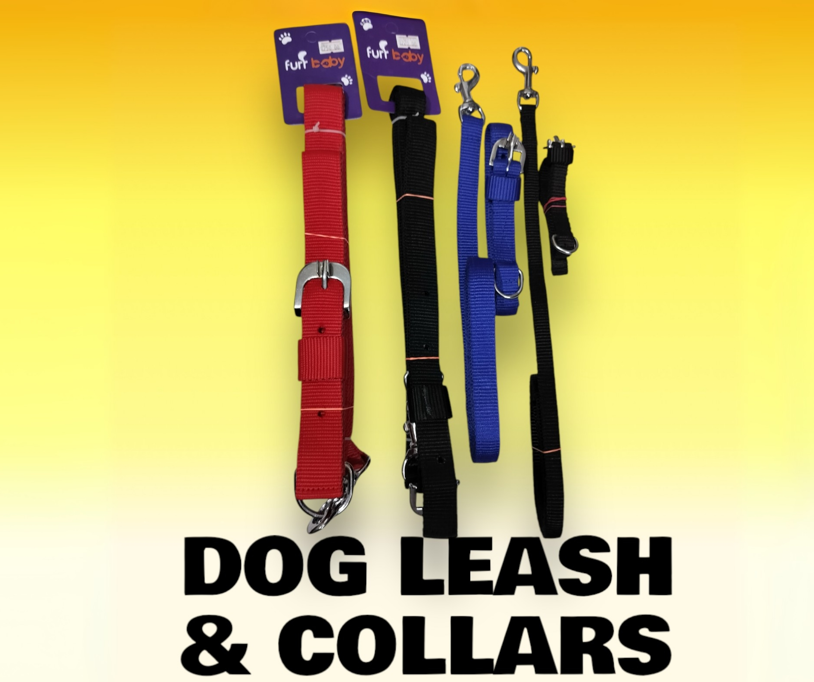 Dog and Cat Leash & Collars