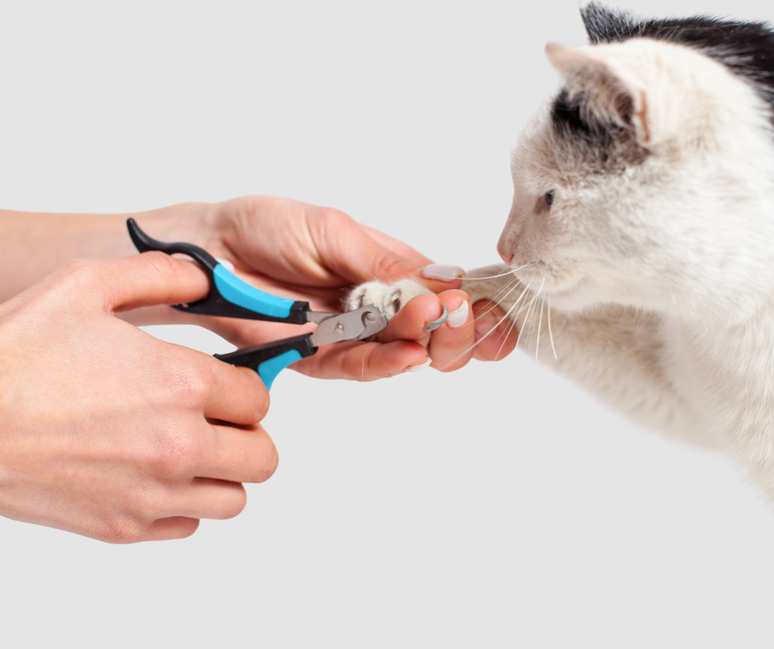 Combo Pack of 2, Nail Cutter and Filer