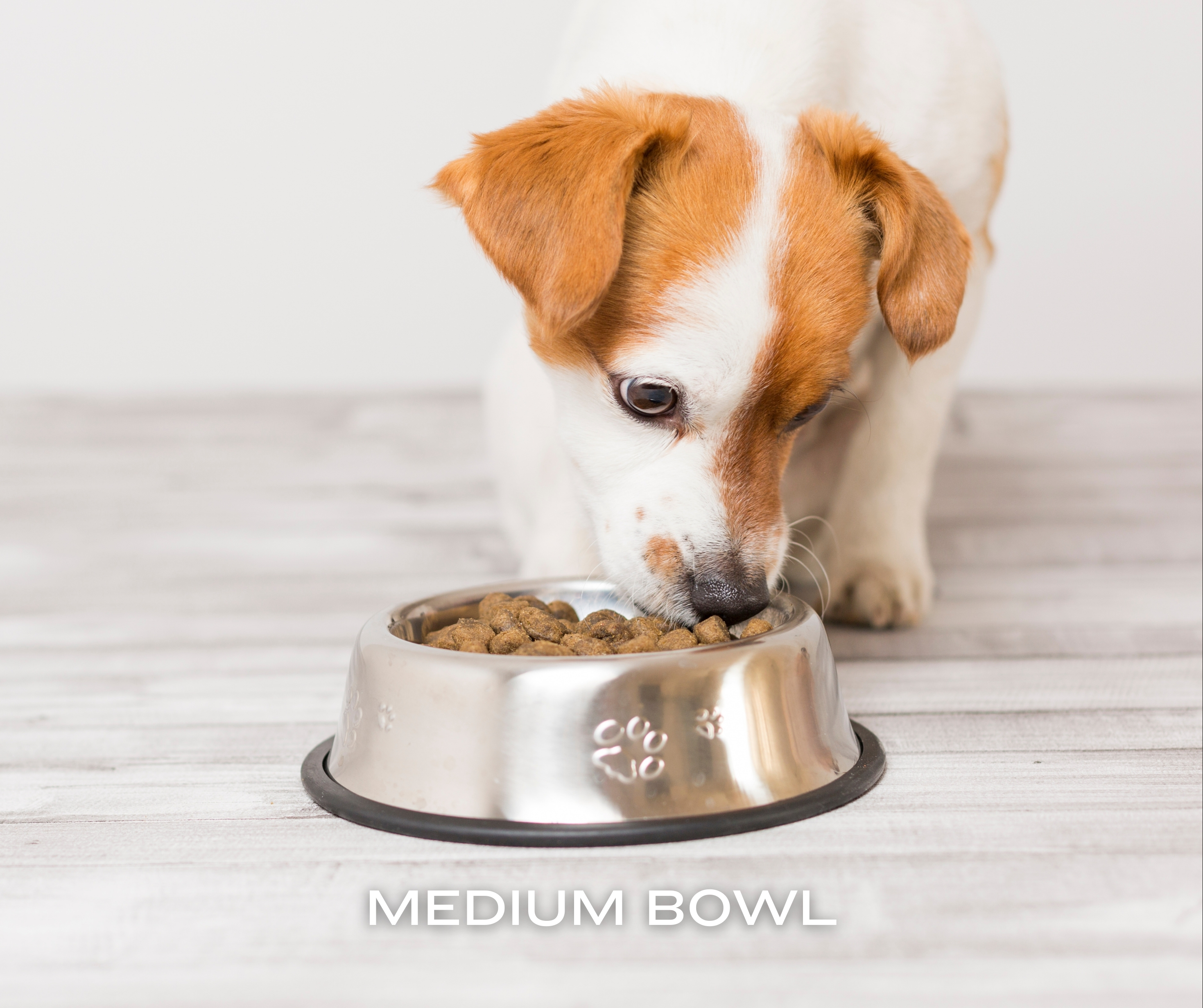 Medium Food Bowl For Pets
