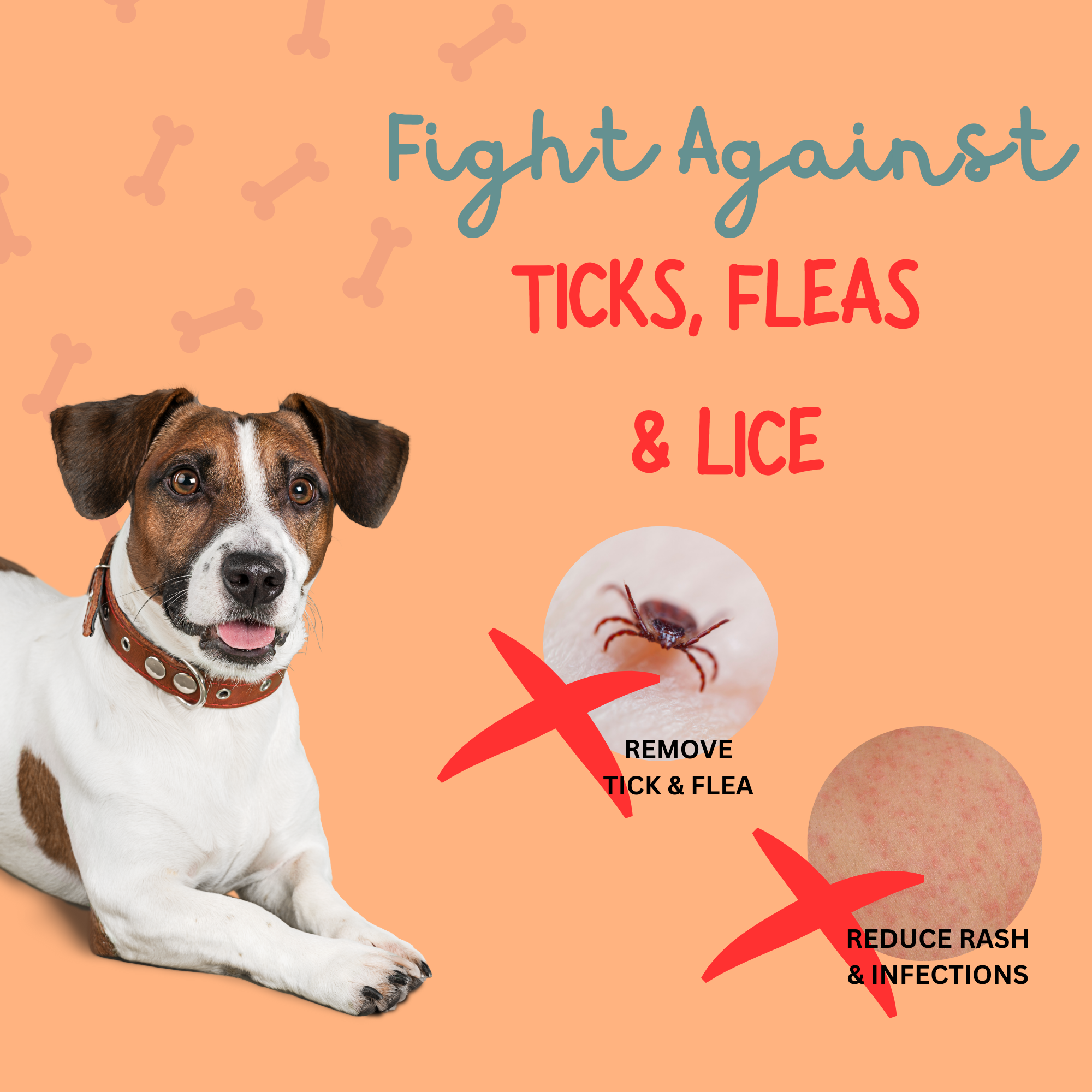 Fur Friendly Anti Tick & Flea Dog & Cat Shampoo