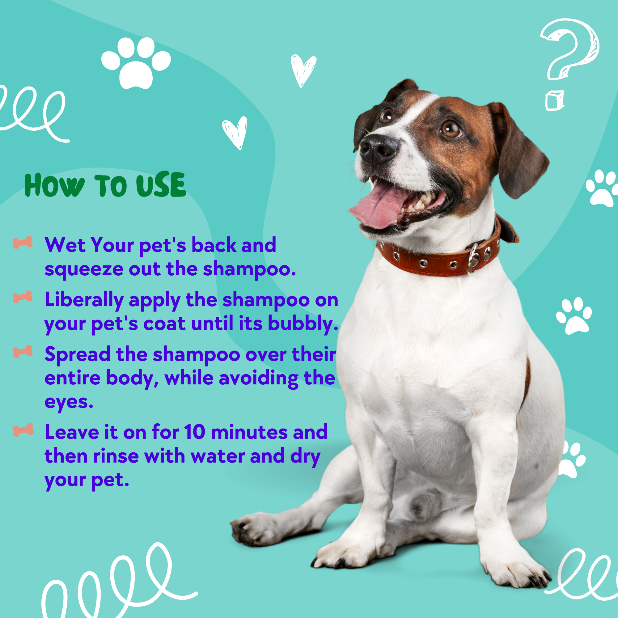 Fur Friendly Anti Tick & Flea Dog & Cat Shampoo