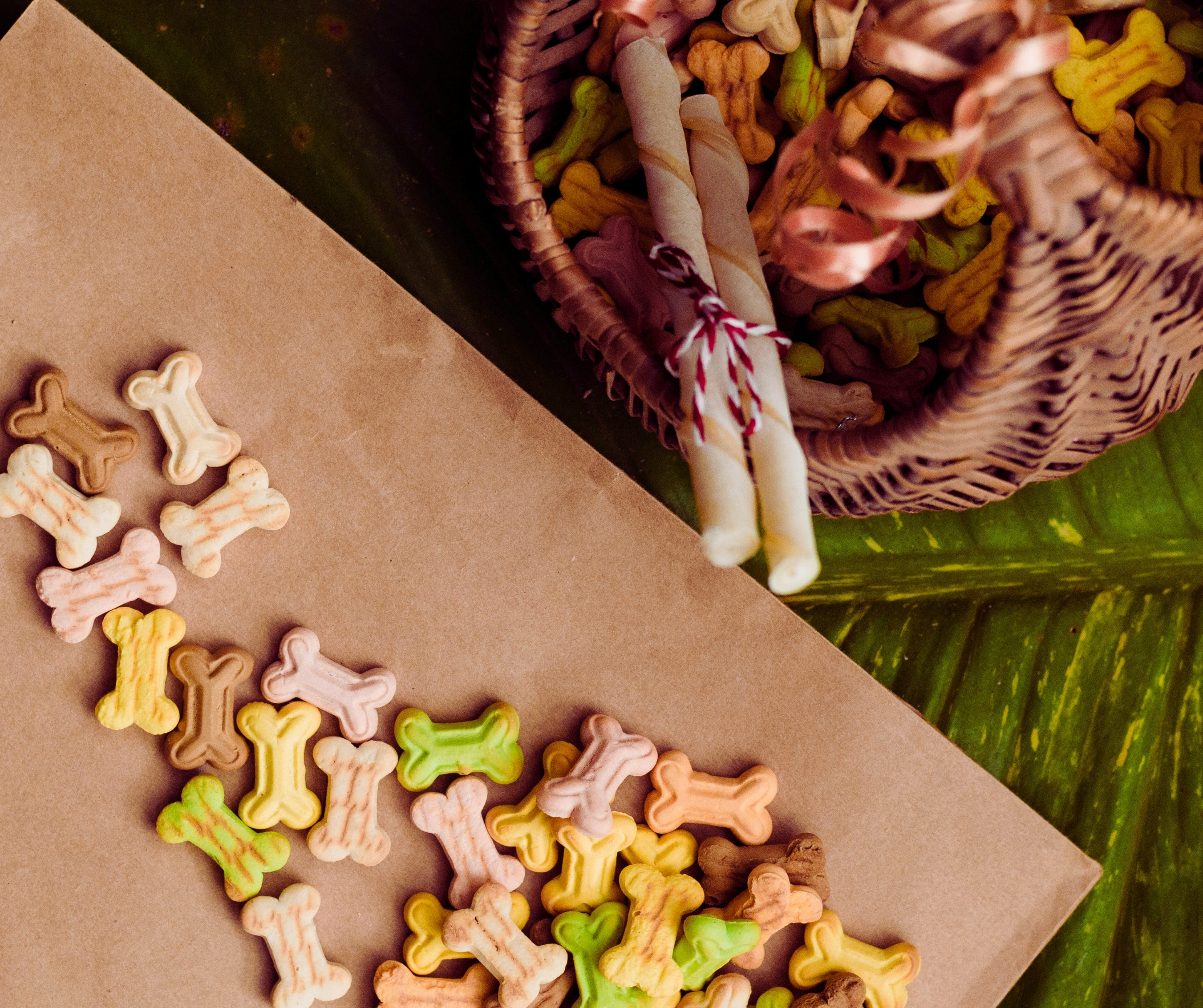 Dog Biscuits 500gm Mix