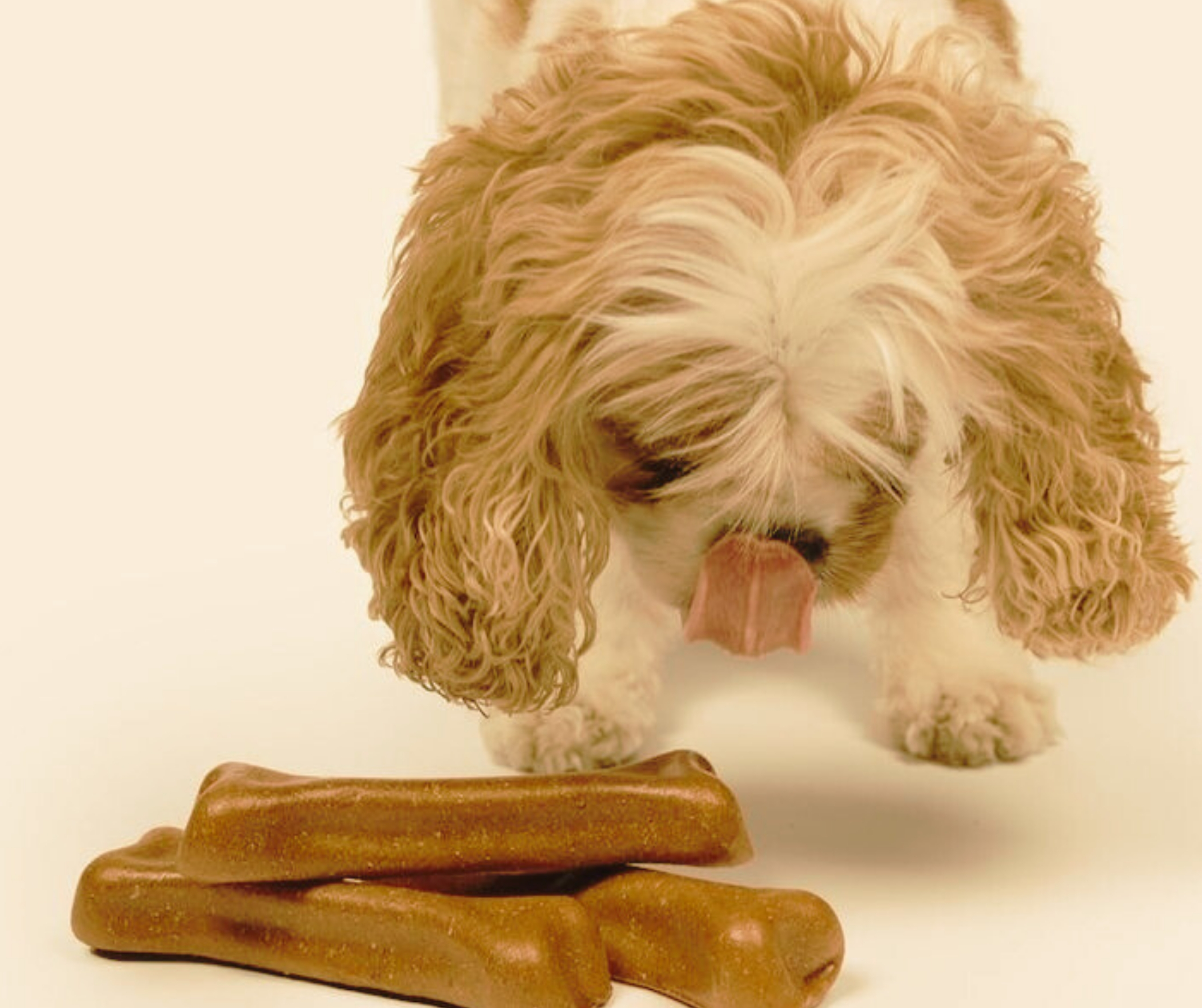 Calcium Dog Chews 500gm