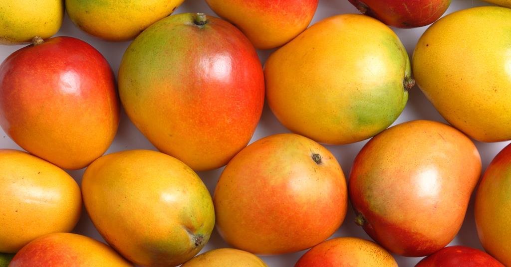 Ngowe Mangoes