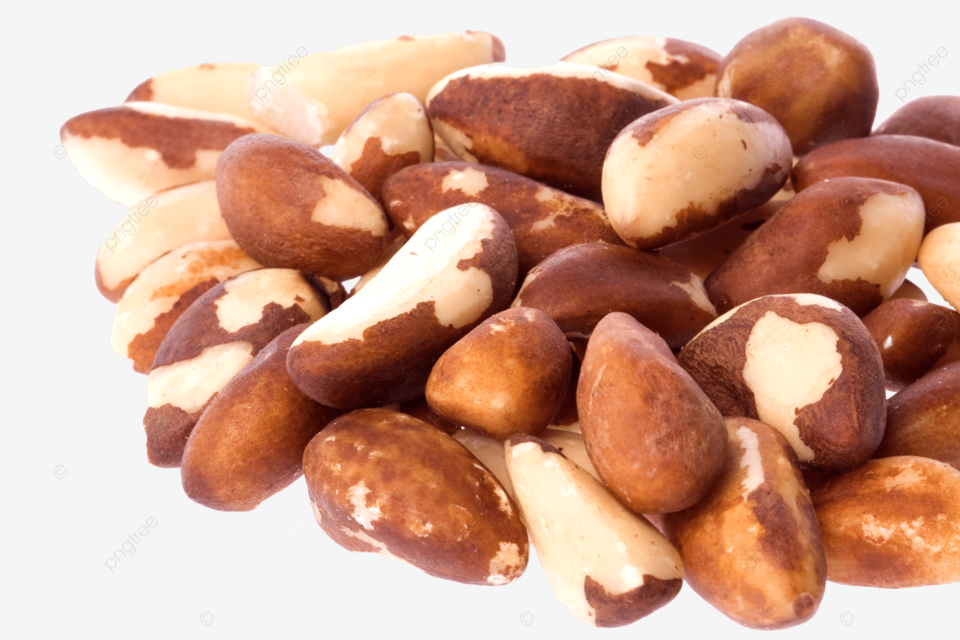 Brazil Nuts