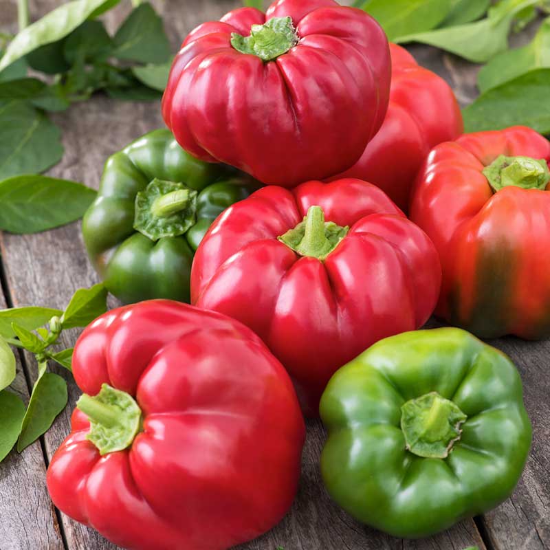Fresh Bell Peppers
