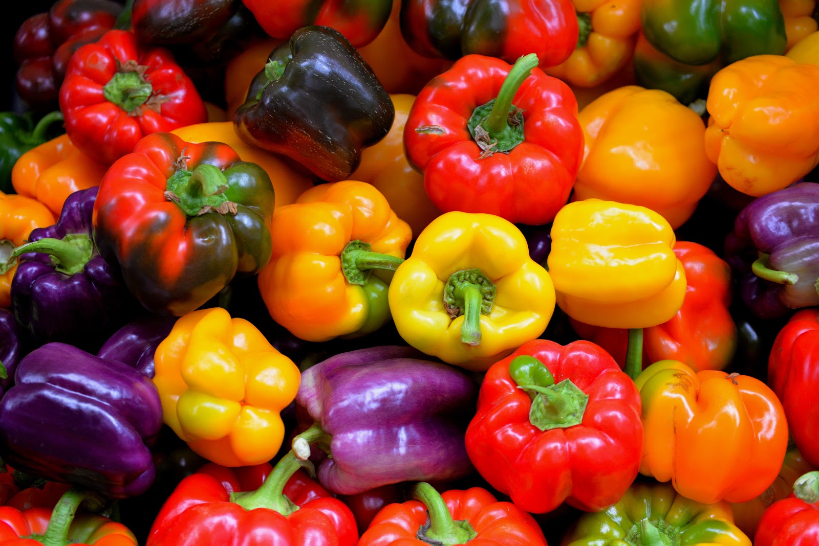 Fresh Assorted Bell Peppers