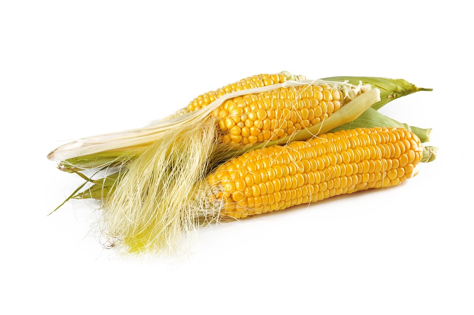 Yellow Corn