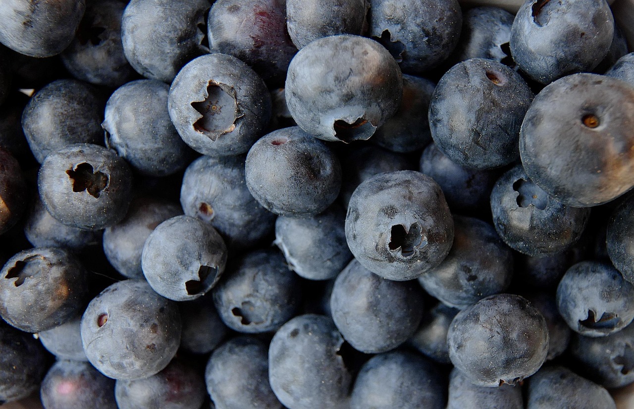 Tropical Blue Blueberries