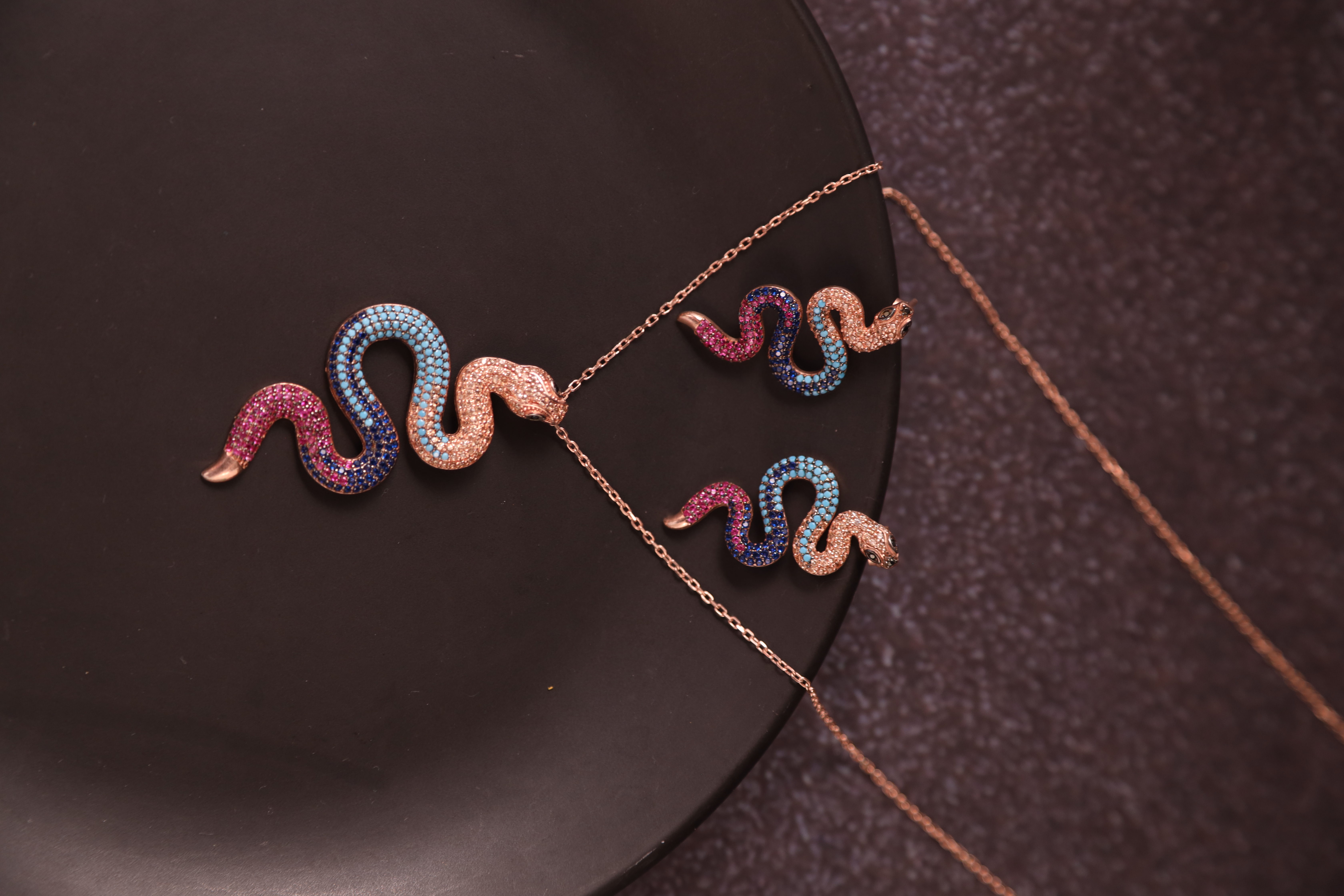 Colorful Snake Set