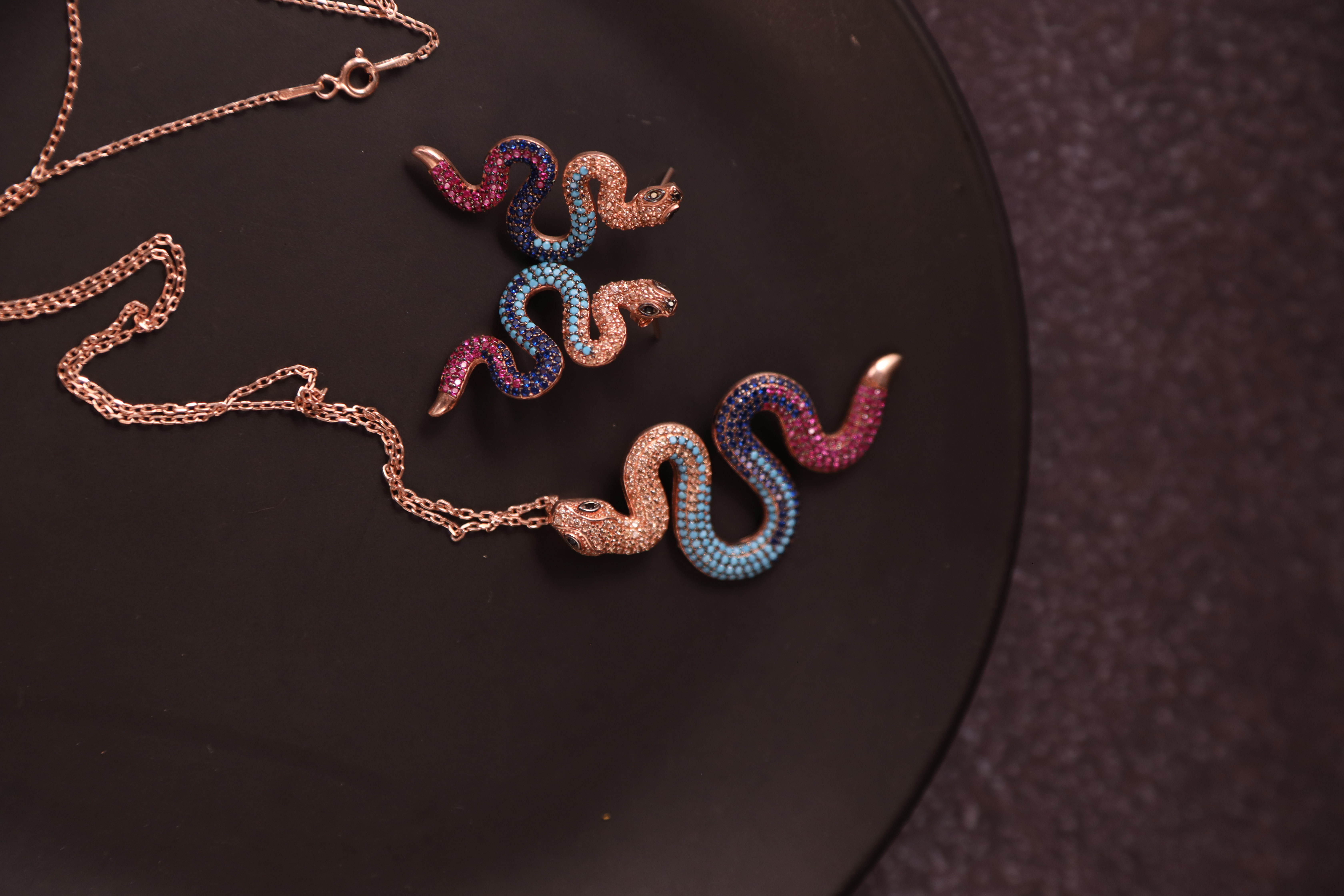 Colorful Snake Set