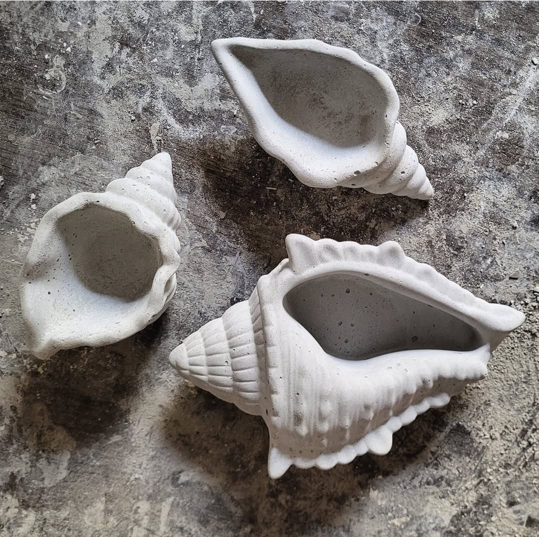 MALEOGA® Mini Vasos Conchas - Conj. 3 Pçs