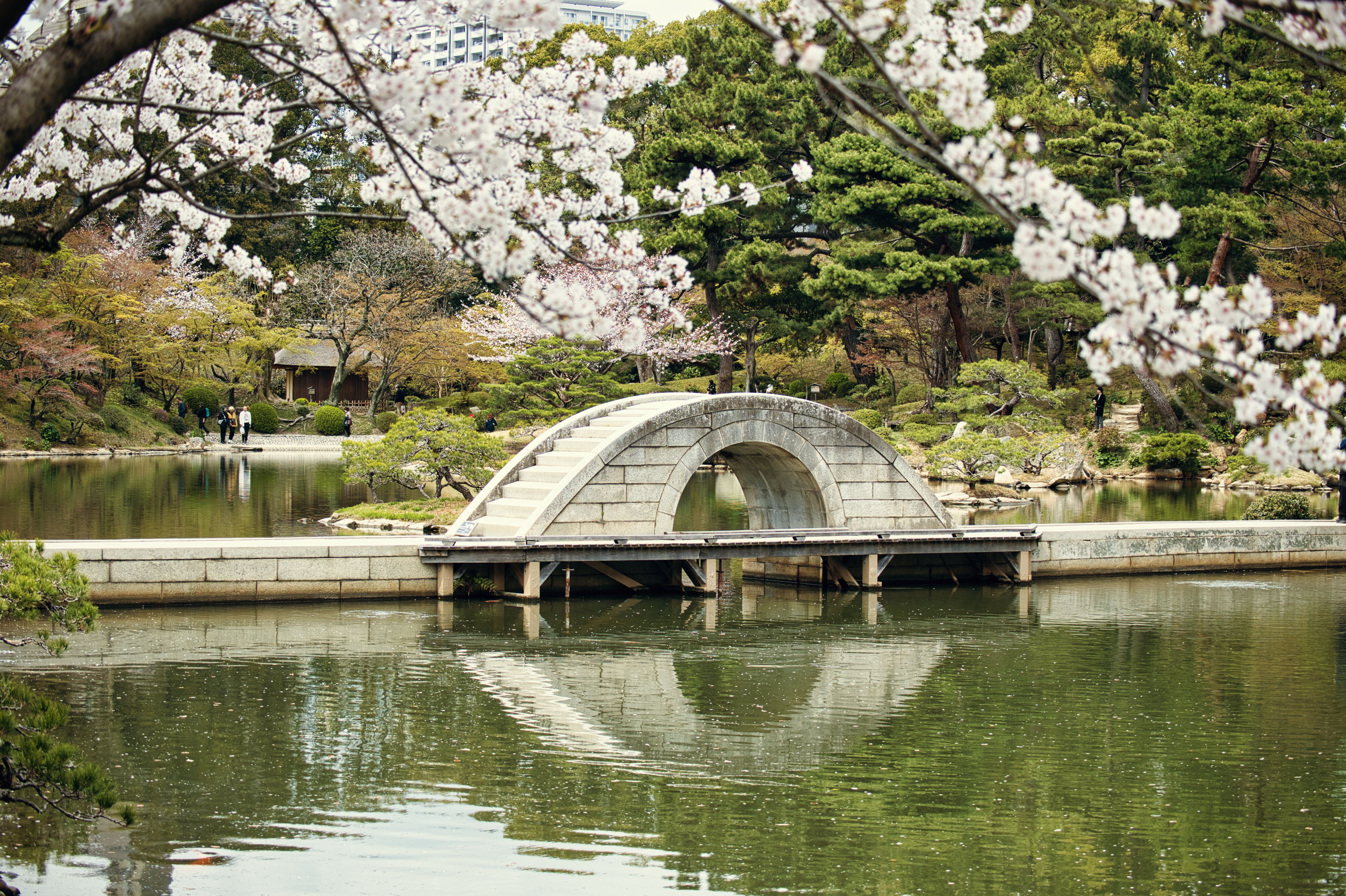 Bridge in the park HD