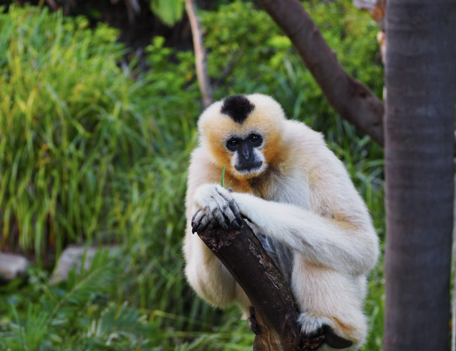 Habitat Restoration & Sustainability 