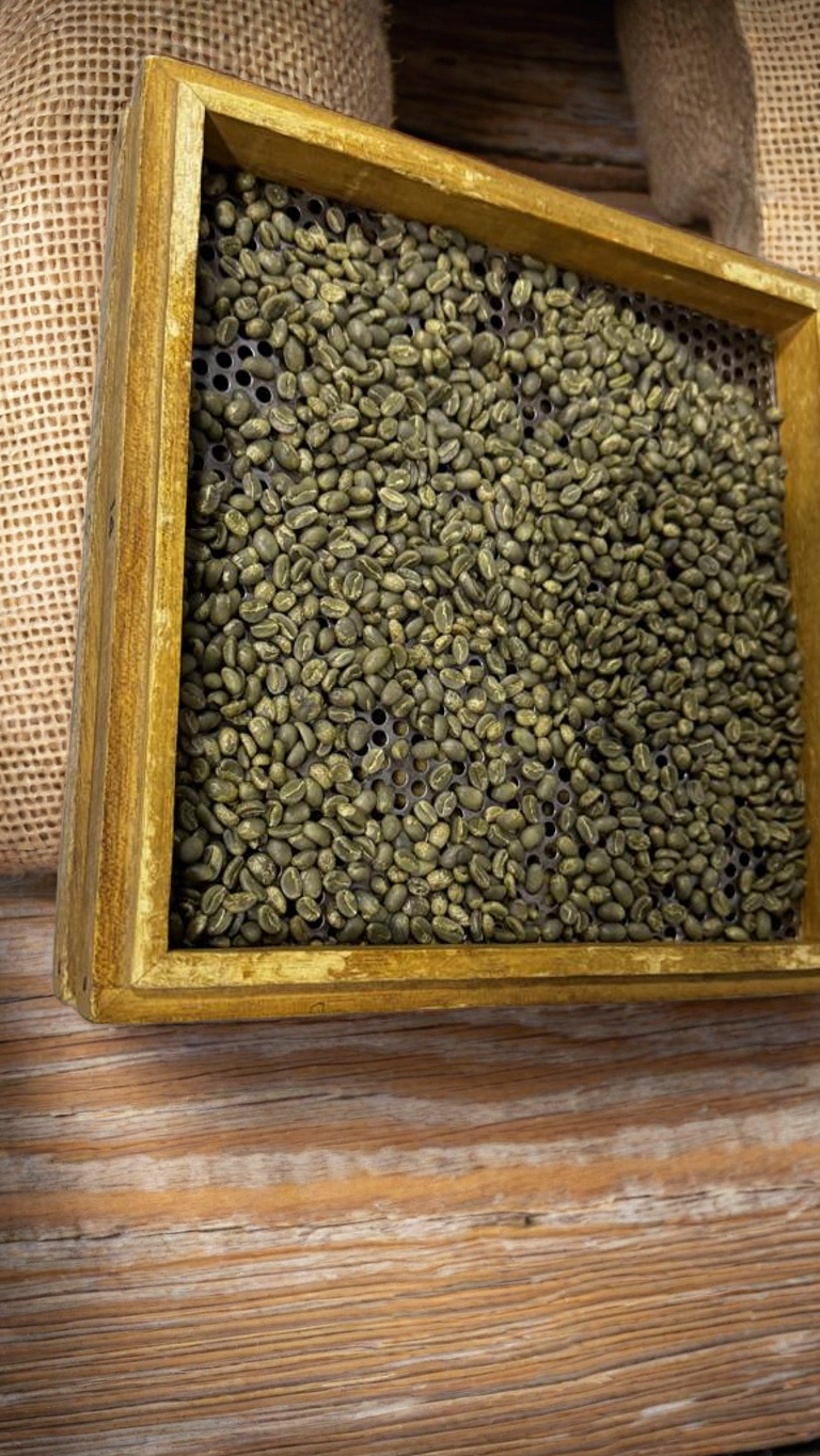 Muestra Café Castillo proceso Lavado Génova Origins 100 gr 85 puntos en taza.