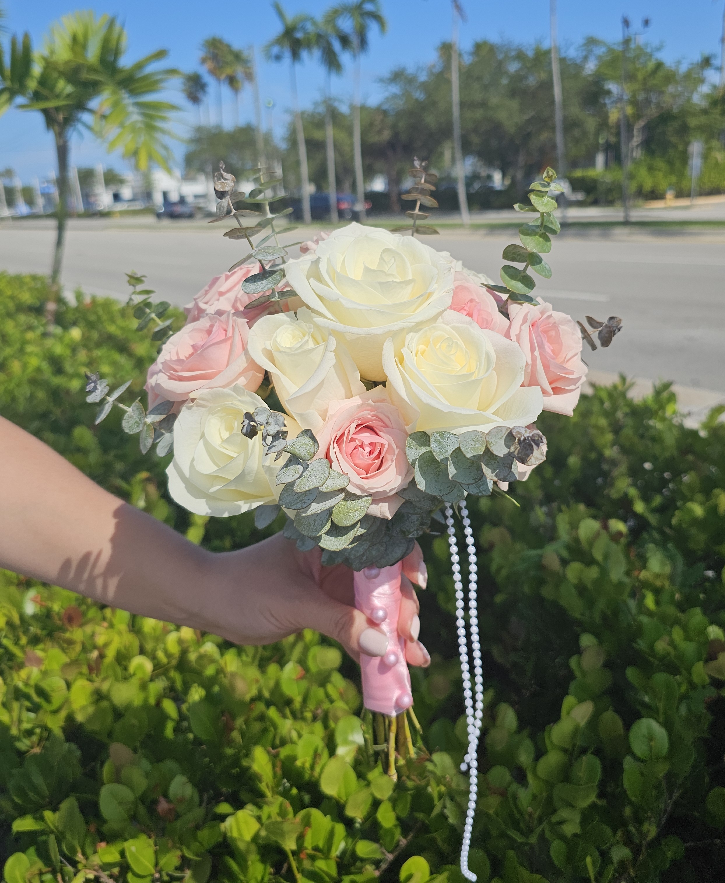 Blush & Pearl Romance