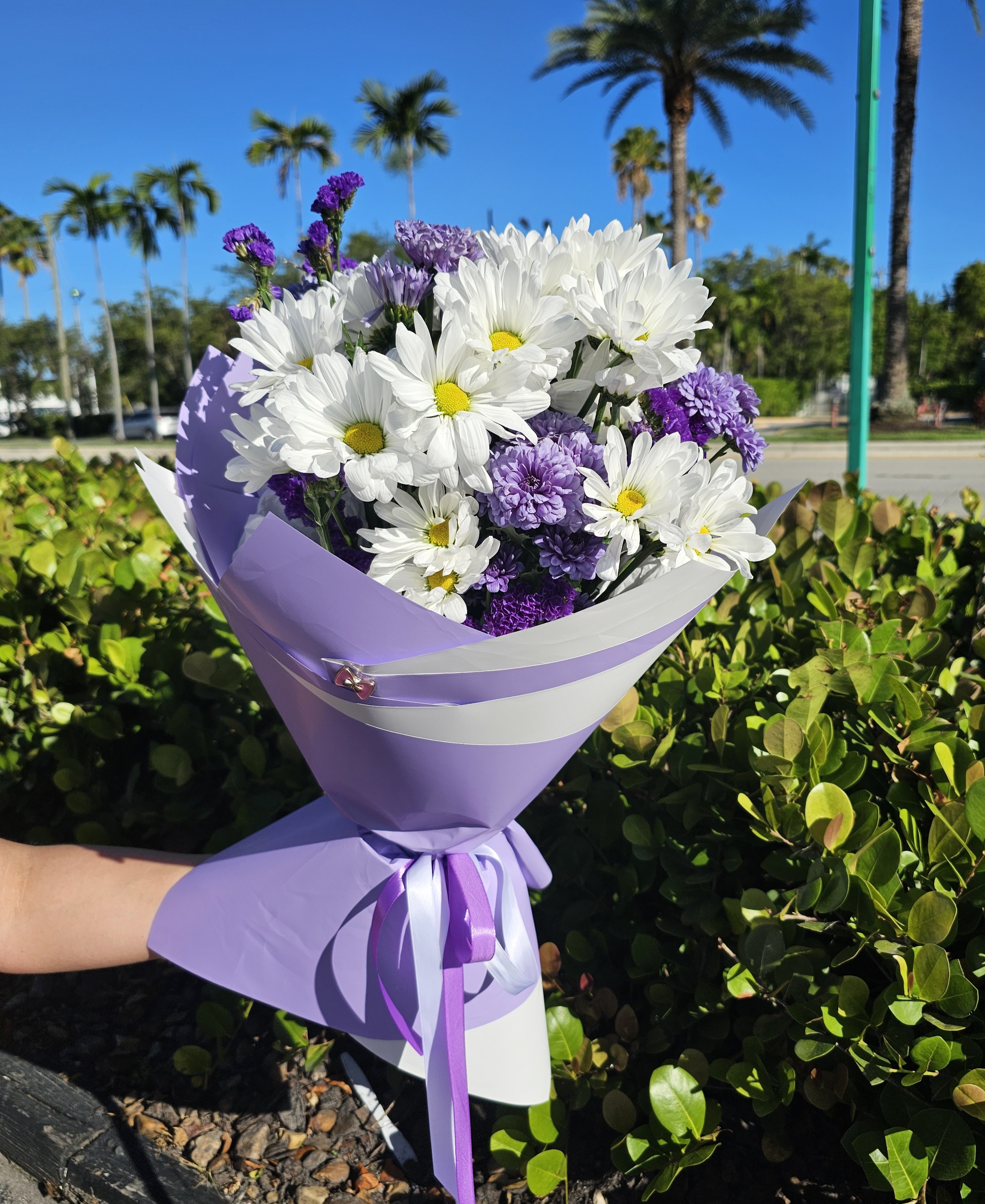 Lavender Breeze