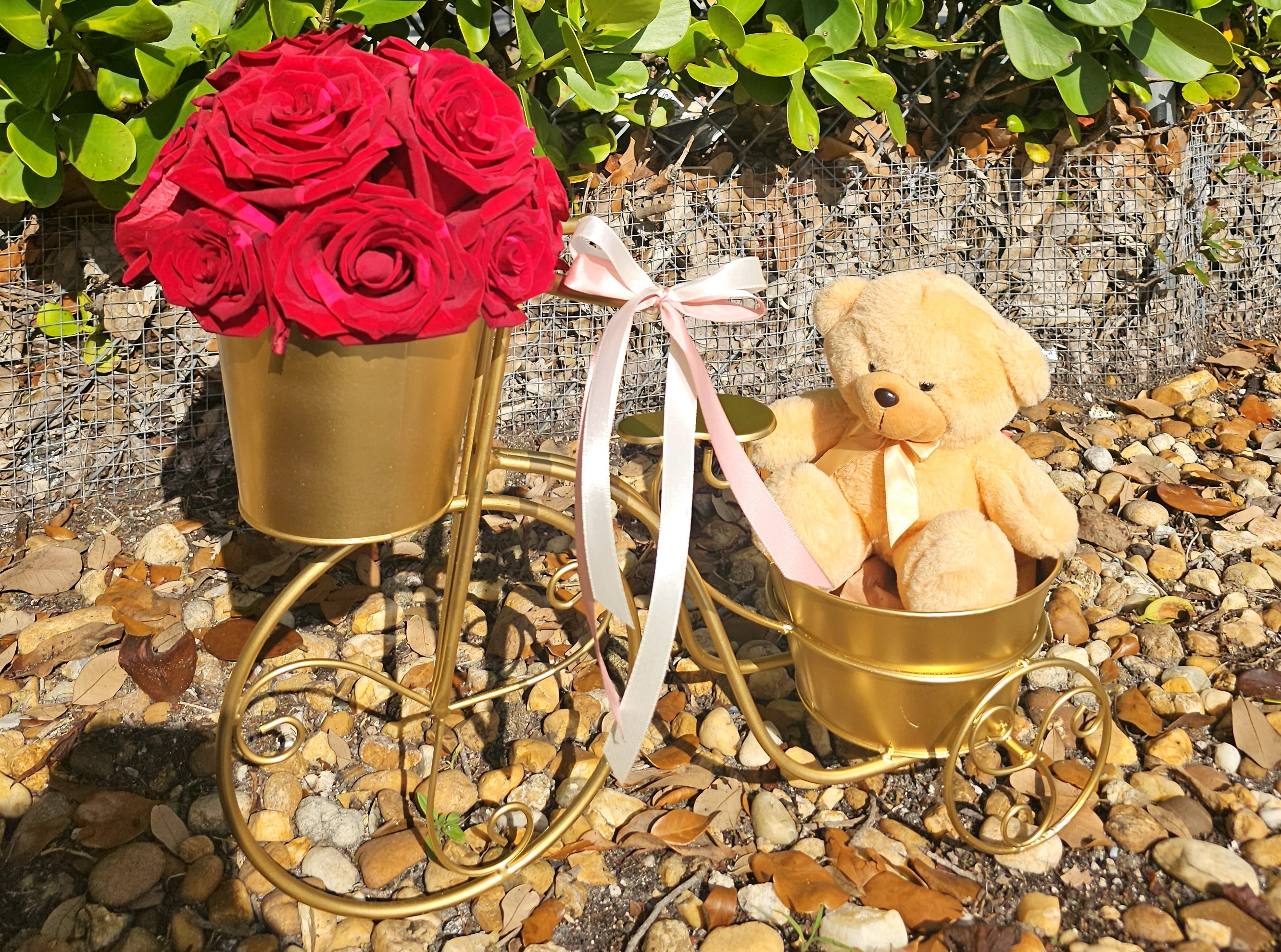 🎀 Golden Ride of Love