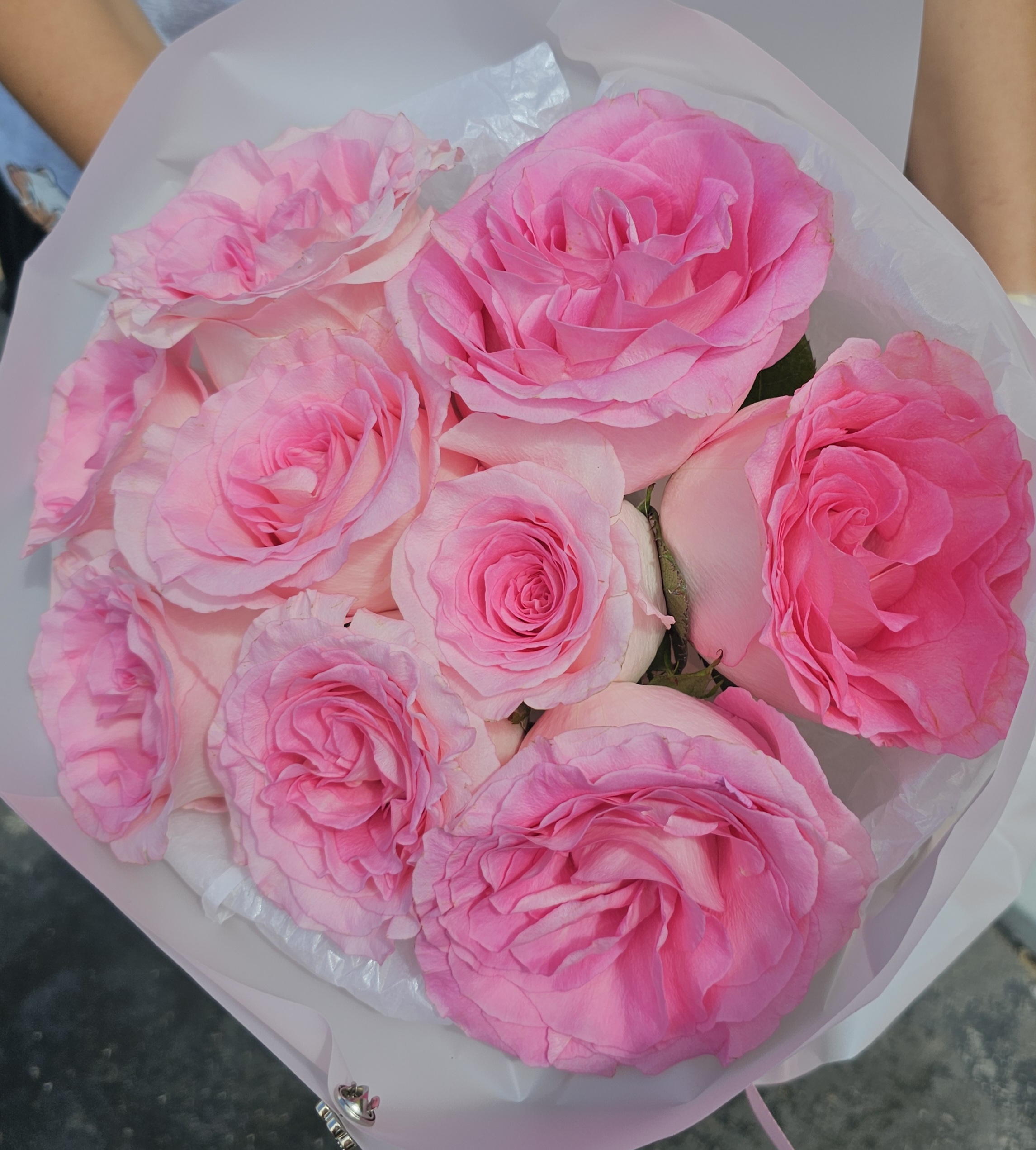 Sweet Pink Delight