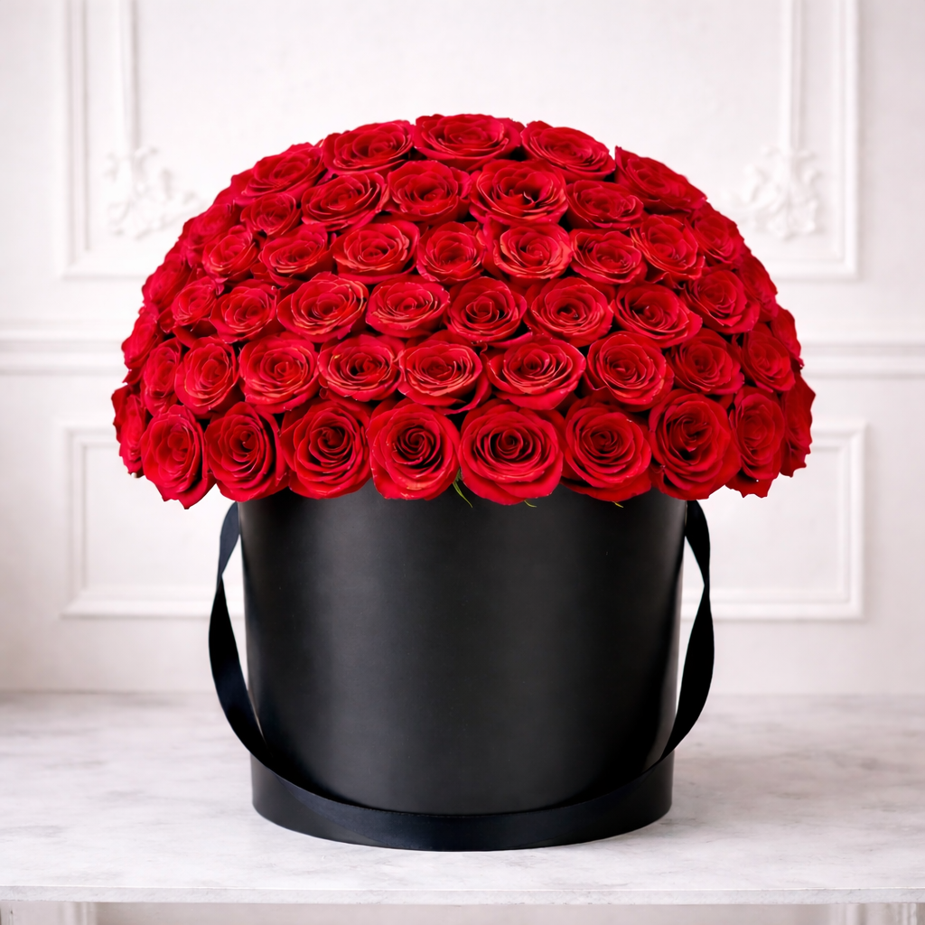 Midnight in Paris 🌹✨