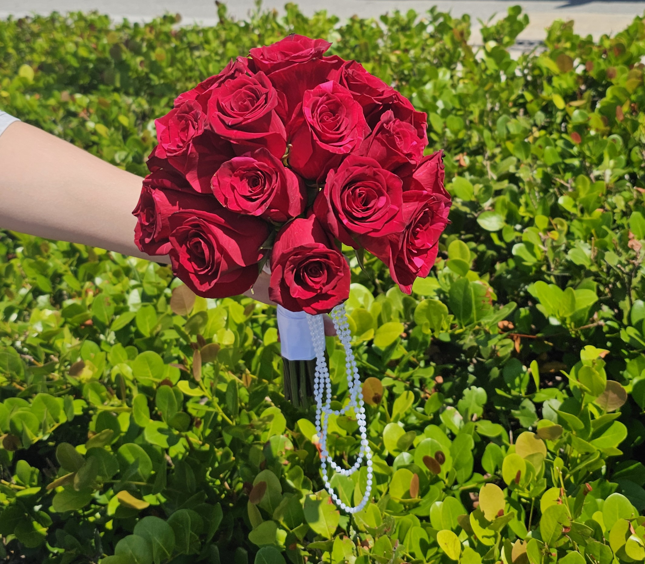 Scarlet Promise