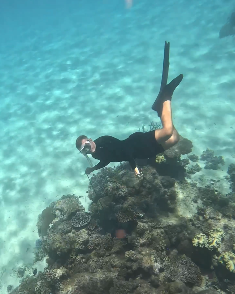 Snorkeling trip (4 hrs)