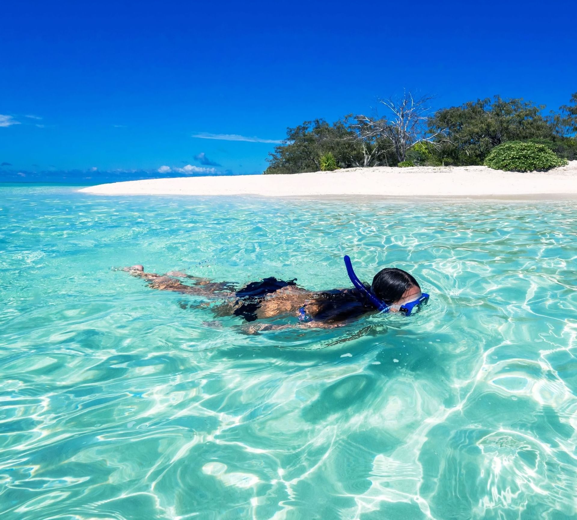 Snorkeling trip & Visit Musket Cove Island (6 hrs)