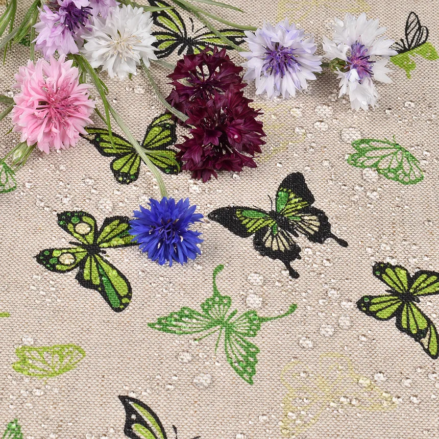 Marginta staltiesė - Alaus Šventė