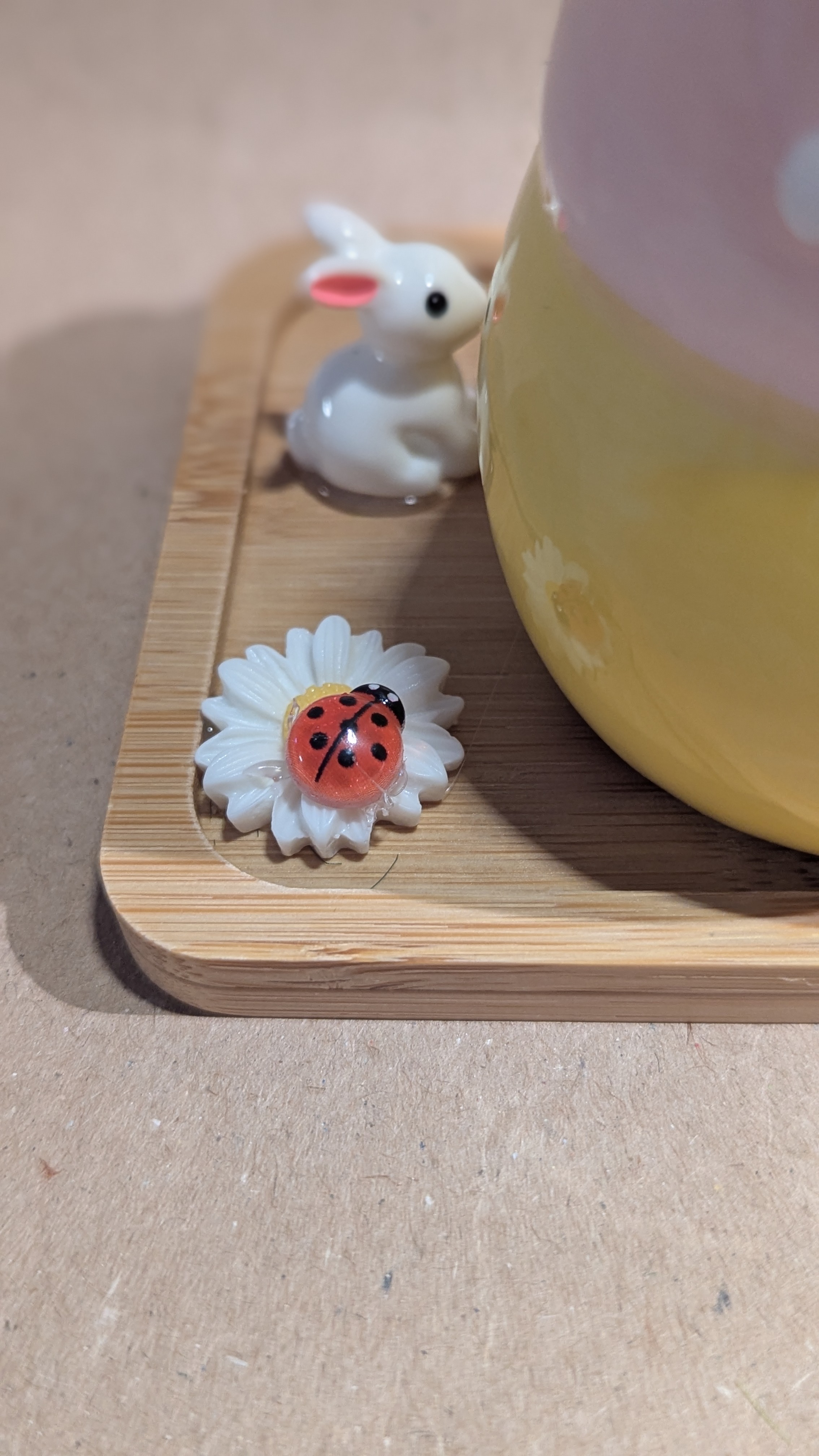 Un Petit Monde de Douceur