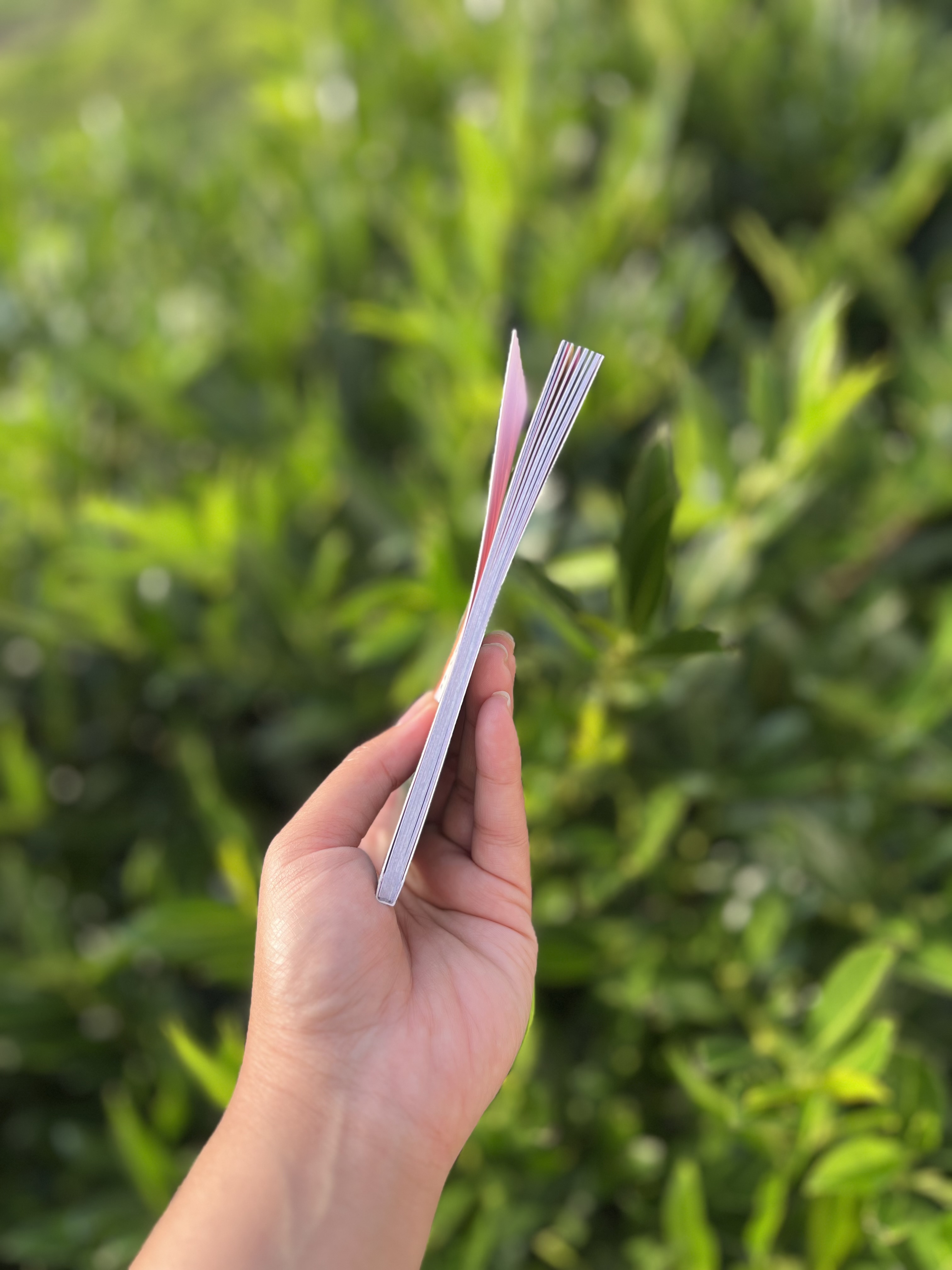 What to henna? | Pocket size - Softcover