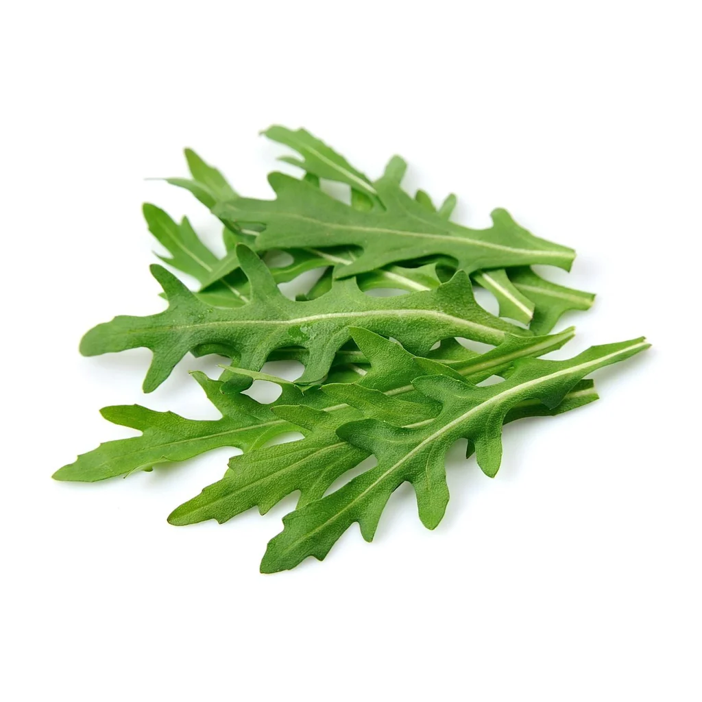 Arugula 