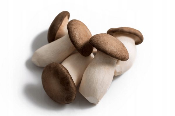 Eryngi Mushroom (King Oyester Mushroom)