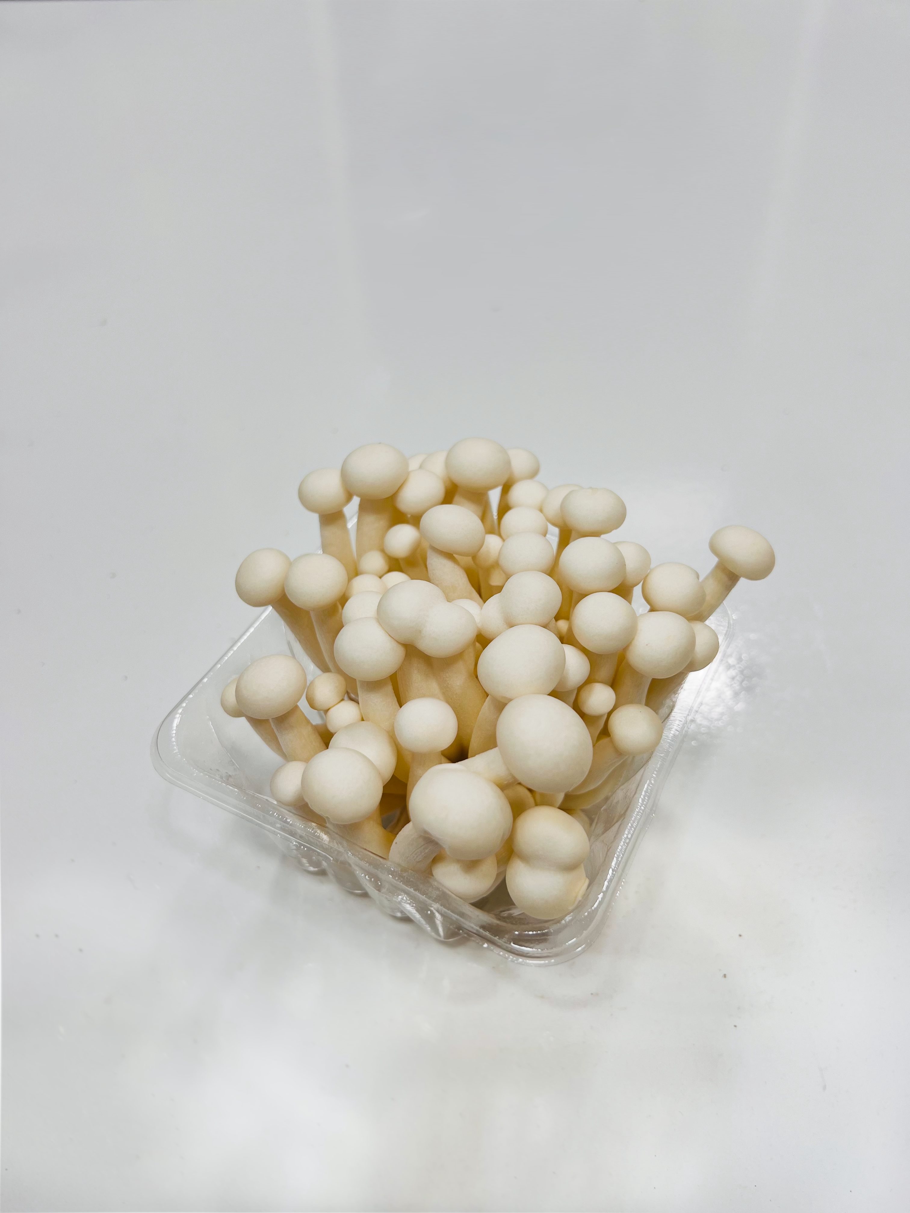 White Shimeji Mushroom