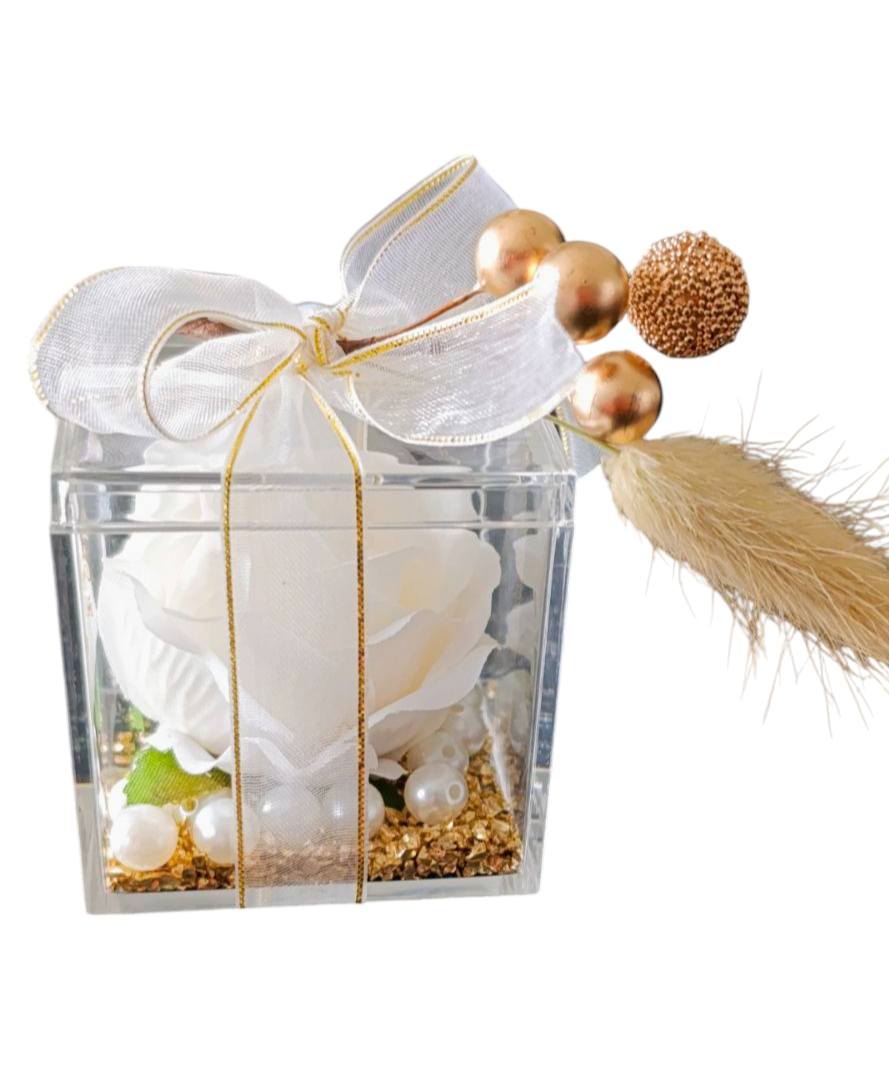 PETITE BOITE PLEXIGLAS