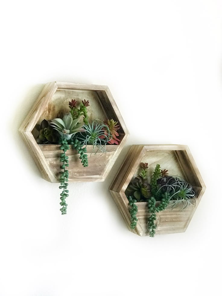 Hexagon Wall Planters