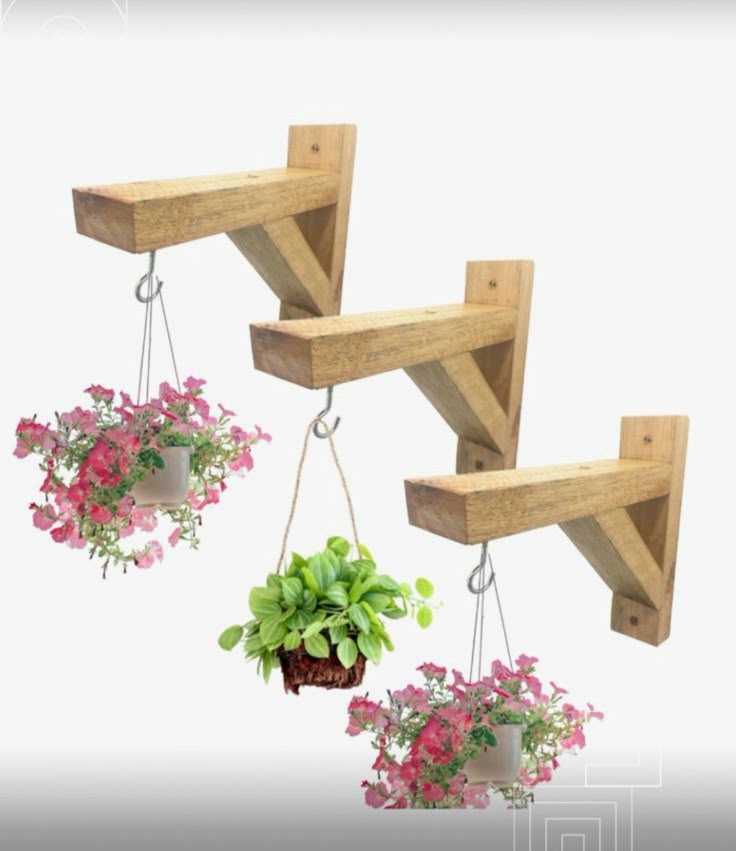 Wooden Wall Plant Hangers