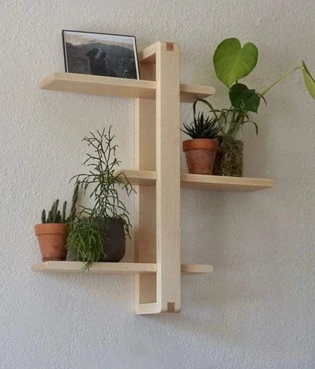 Wall-Mounted Wooden Shelf