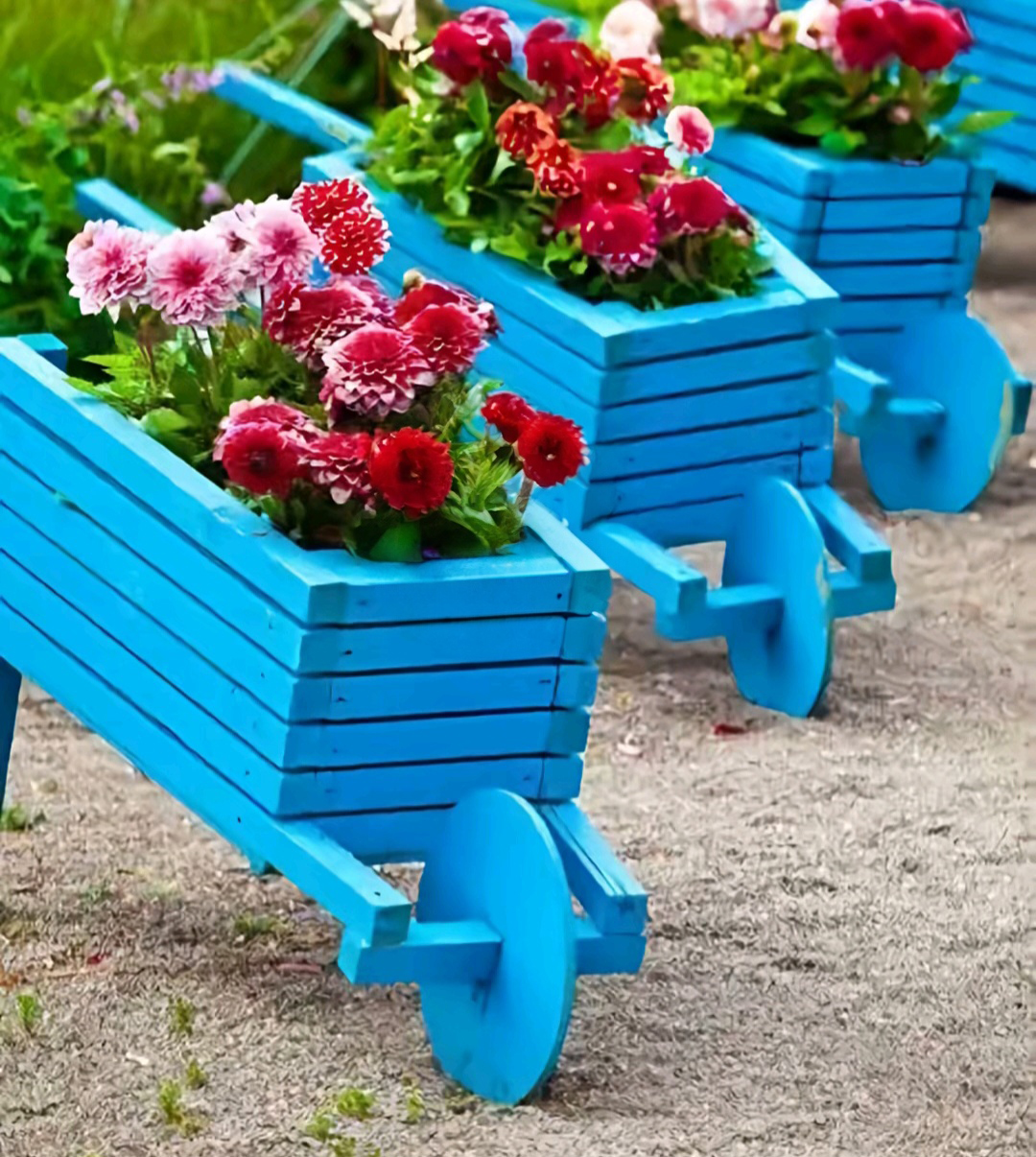 Wooden Wheelbarrow Planters
