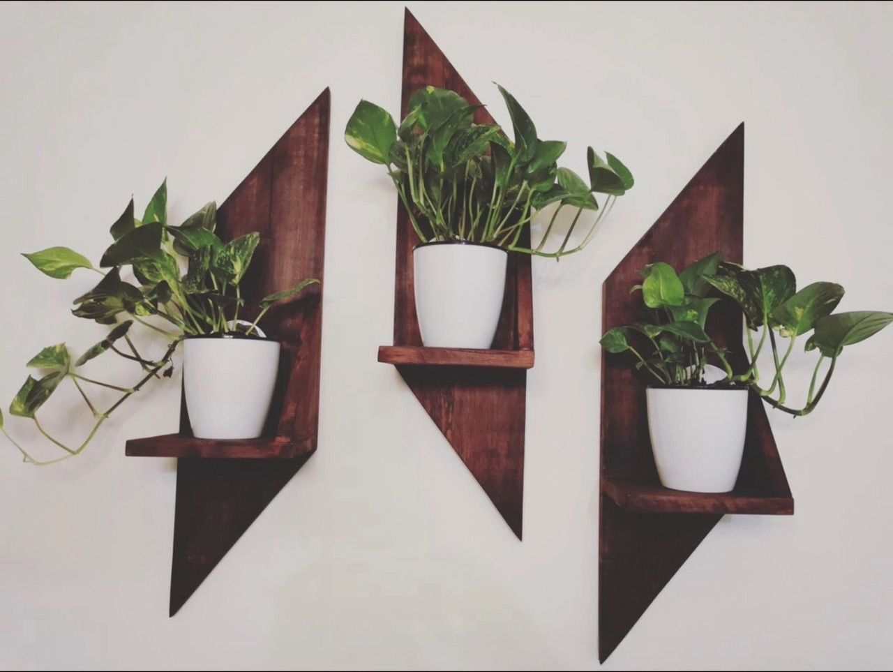 Wooden Wall-Mounted Plant Shelf Set