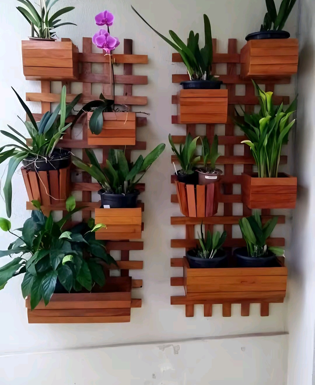 Wooden Wall Planter Set