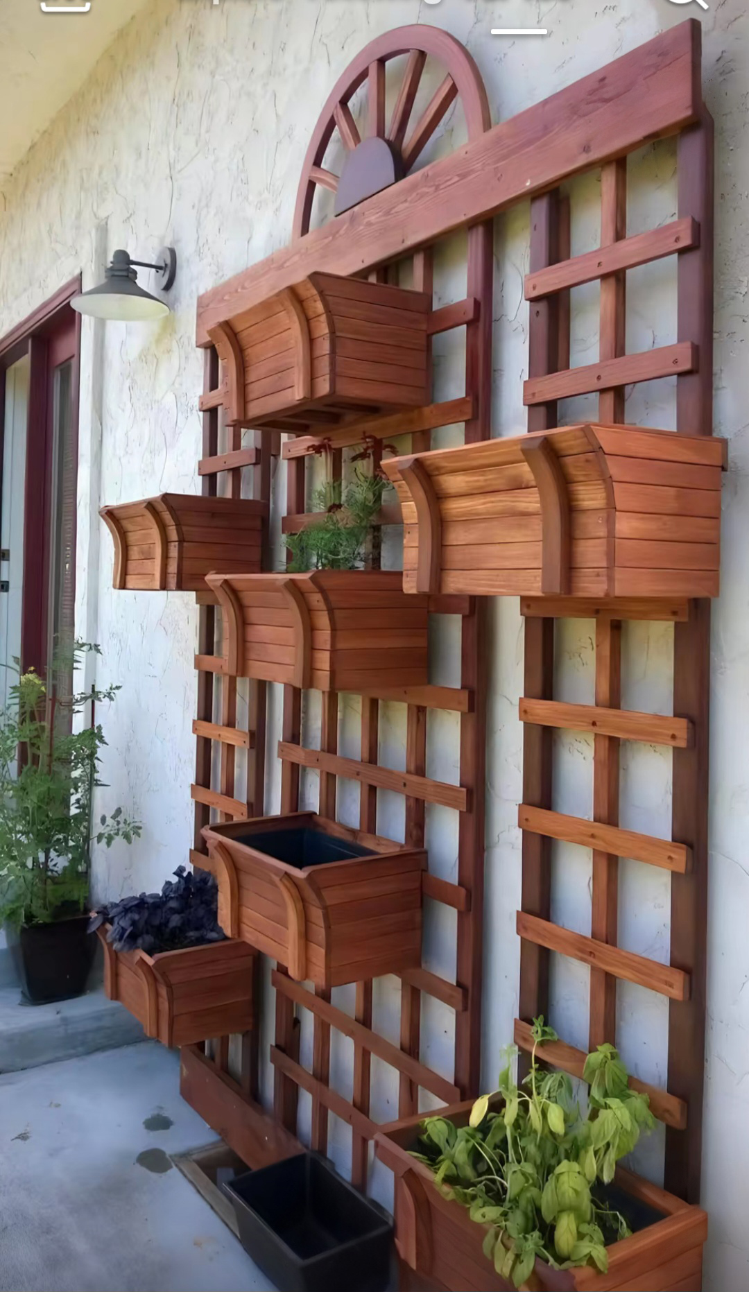 Wall Mounted Wood Planter Shelves