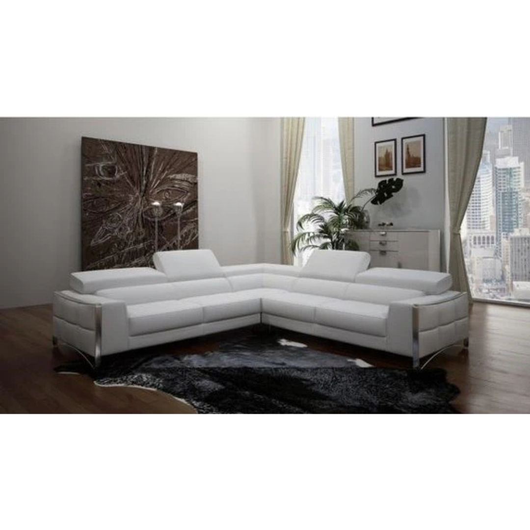 Casametz leather Sectional sofa