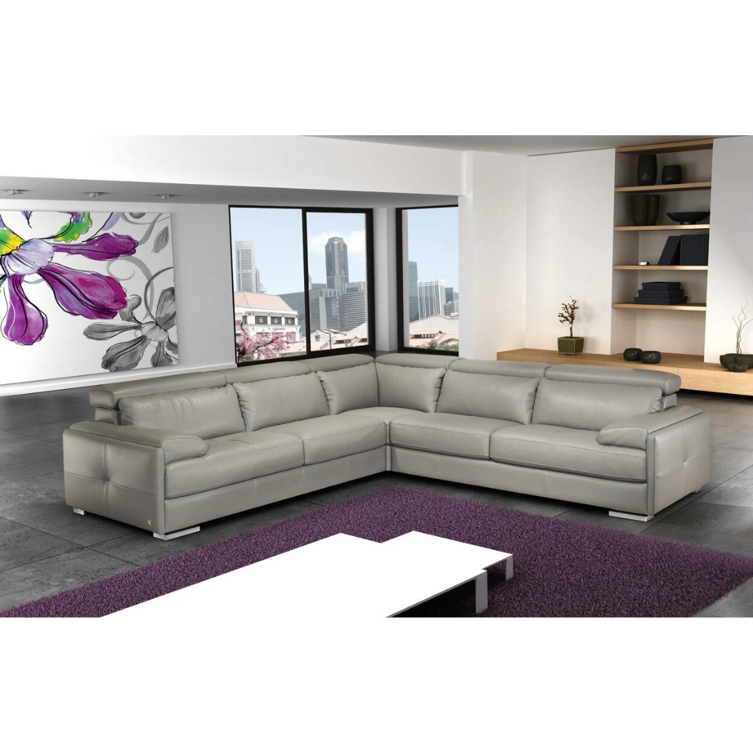 Cantor Leather Sectional Sofa