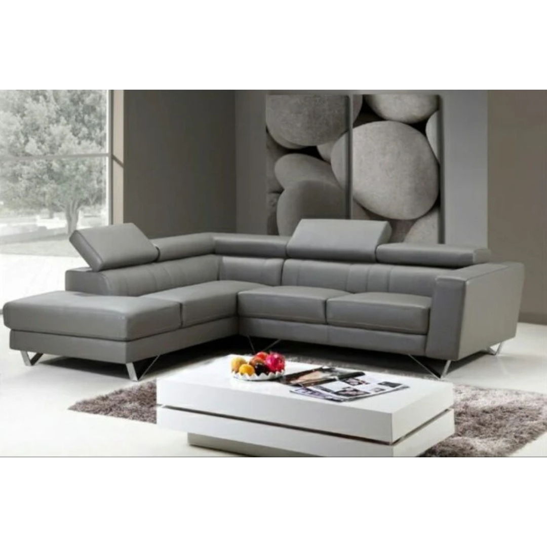 Caracol Leather Sectional sofa