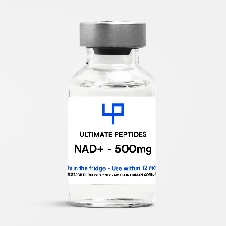 NAD + - 500mg
