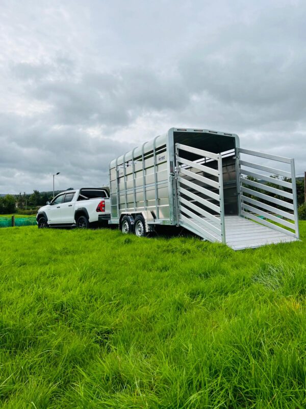 M-Tec 12 x 6 Livestock Trailer