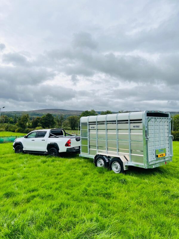 M-Tec 12 x 6 Livestock Trailer