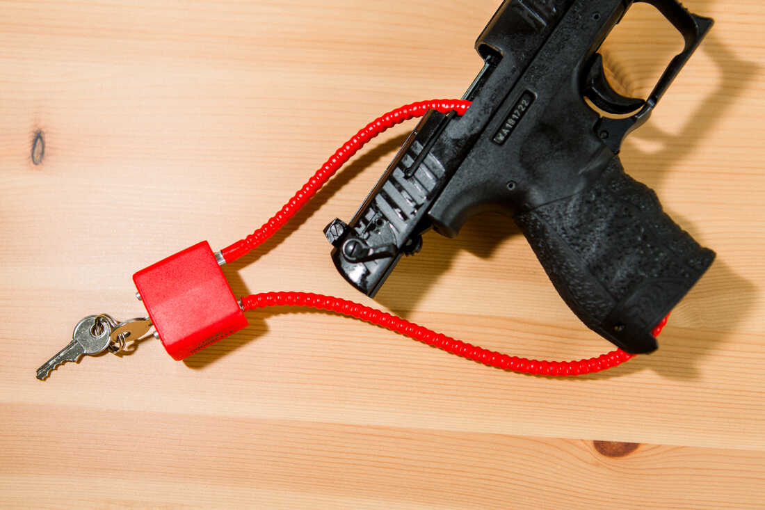 Firearm Safety & Storage - 11/08/25